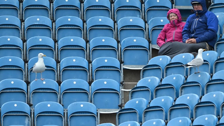 Les plus grands fans de tennis d'Eastbourne ont des ailes.