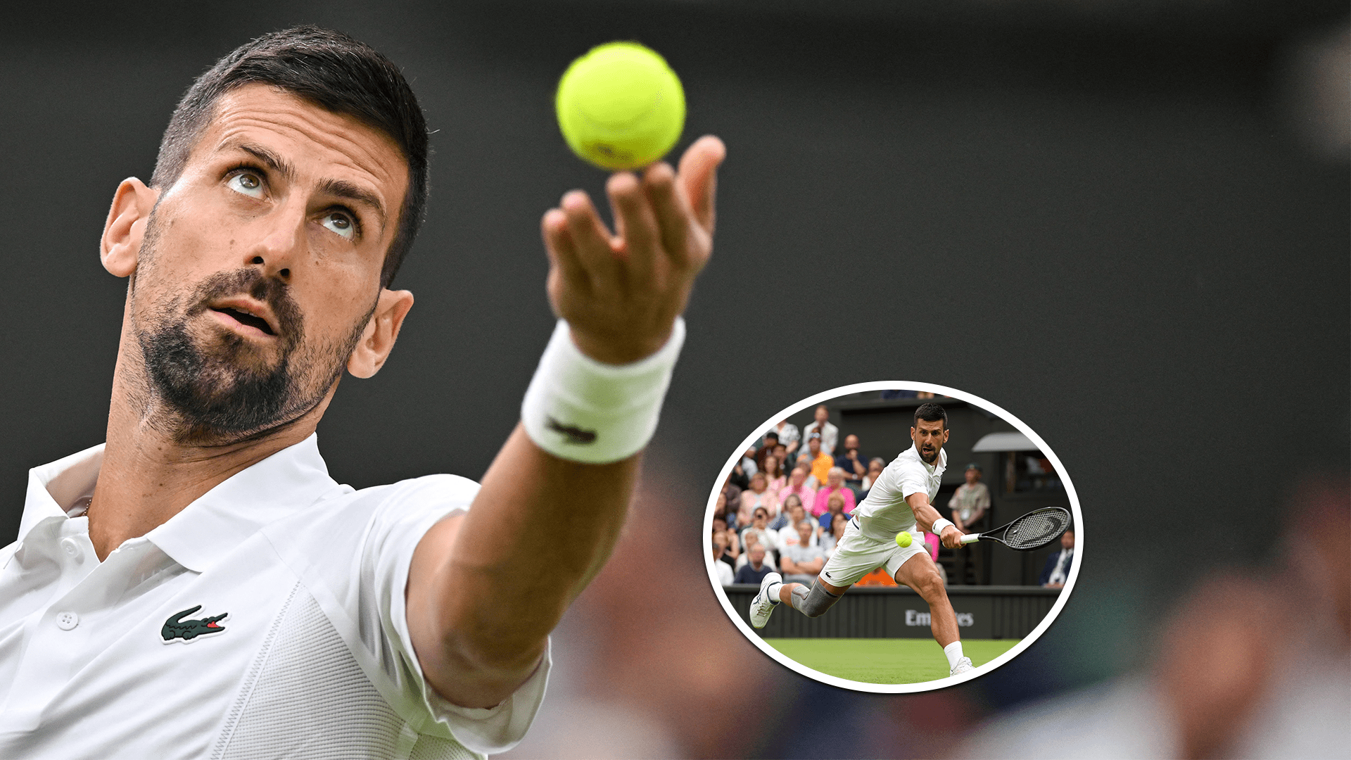 Balle De Tennis Signée Novak Djokovic – Authentifiée JSA – Open US Et Wimbledon