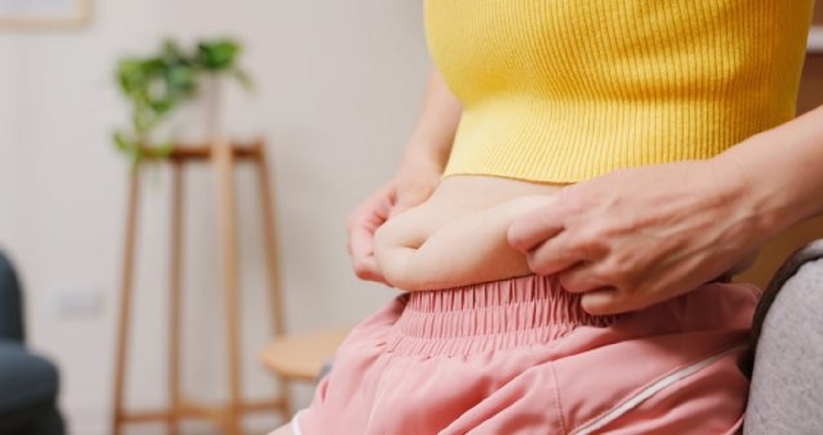 Graisse abdominale