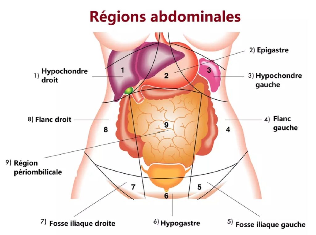 Douleur sous les côtes