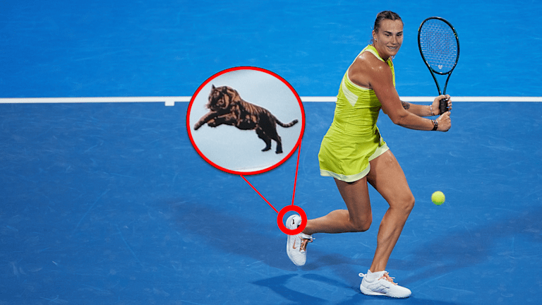 Les fans aux yeux d'aigle ont repéré l'animal signature de Sabalenka apparaissent sous forme de logo sur ses baskets Nike lors de l'Open d'Australie 2025.