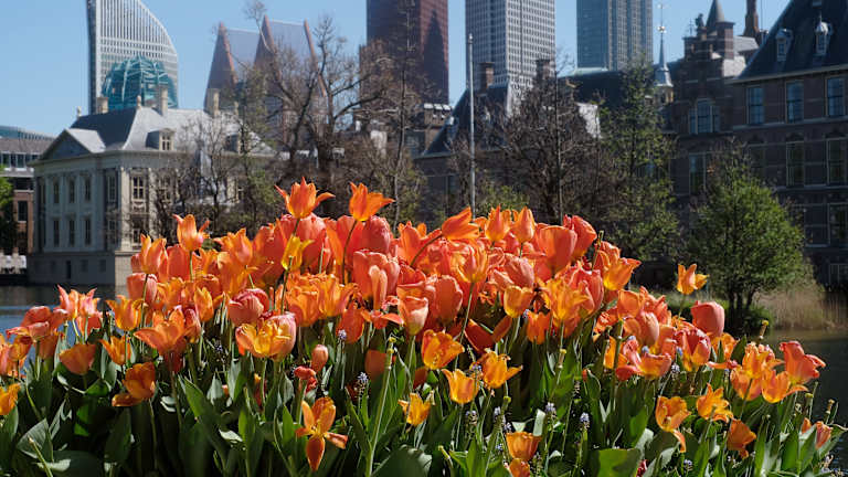 Explorez la ville florissante de la Haye en ville pour les qualifications Billie Jean King Cup.