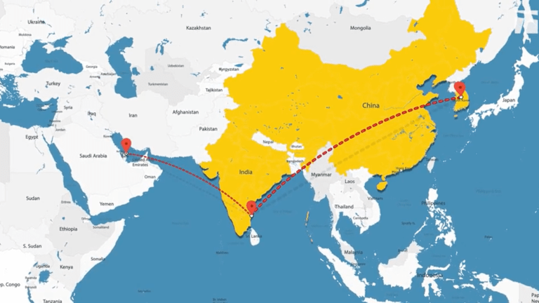 Une tranche visuelle du parcours tennistique de Brandon Holt en 2025, qui débutera à la mi-février à Bahreïn.