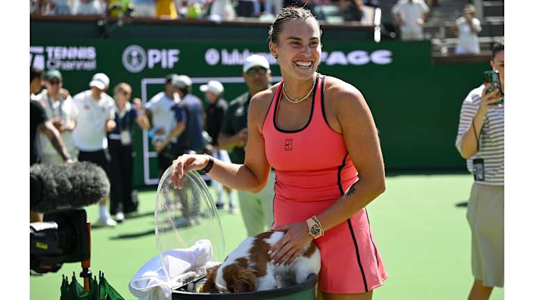 La glace fondue était une excellente occasion de boire pour le Cavalier King Charles Spaniel.