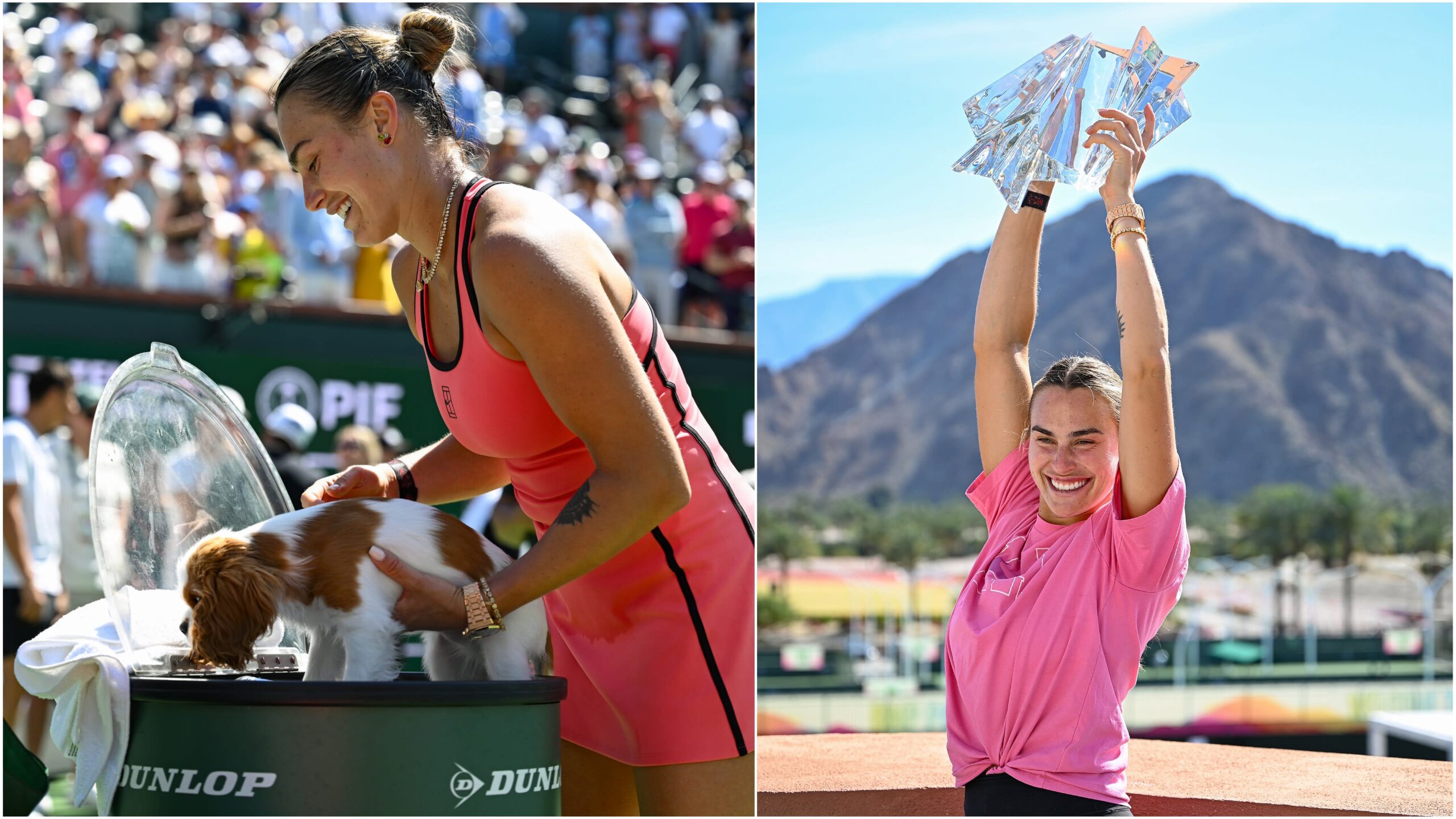 BTS : Aryna Sabalenka donne un bain de glace au chiot Ash après le triomphe d'Indian Wells, étoiles sur la photo emblématique du trophée de montagne