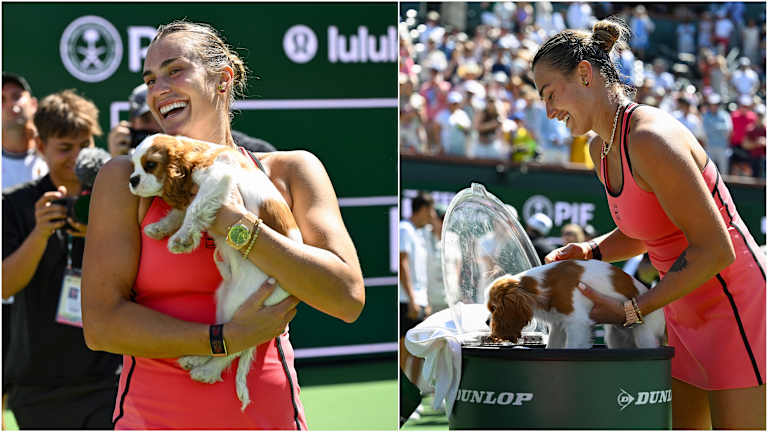 Sabalenka a aidé le chiot Ash à se rafraîchir avec un bain de glace au bord du terrain.